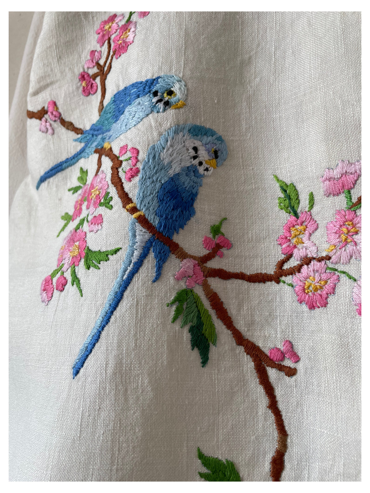 Birds & Blossom
