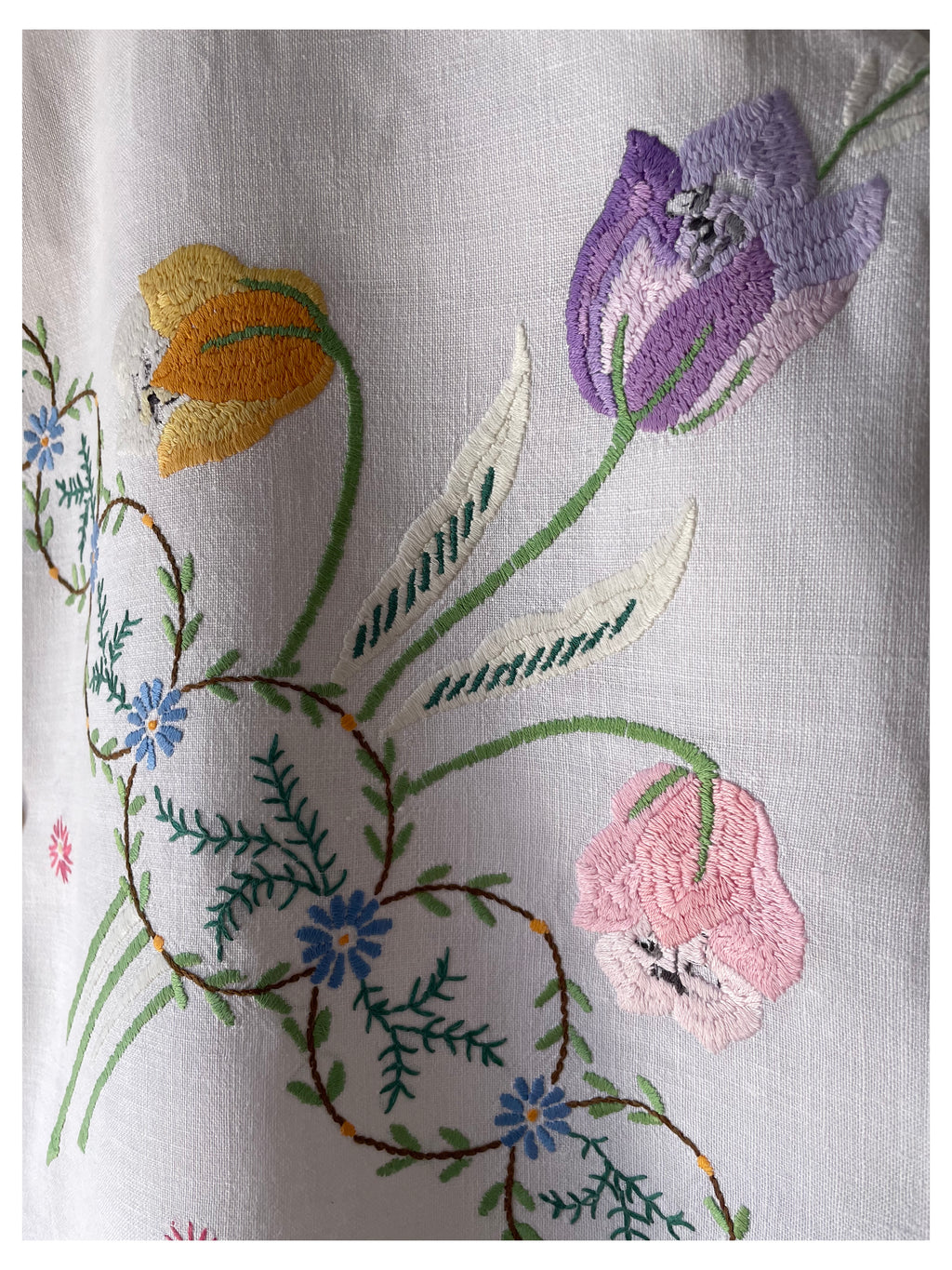 Tulips