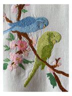 Parakeets