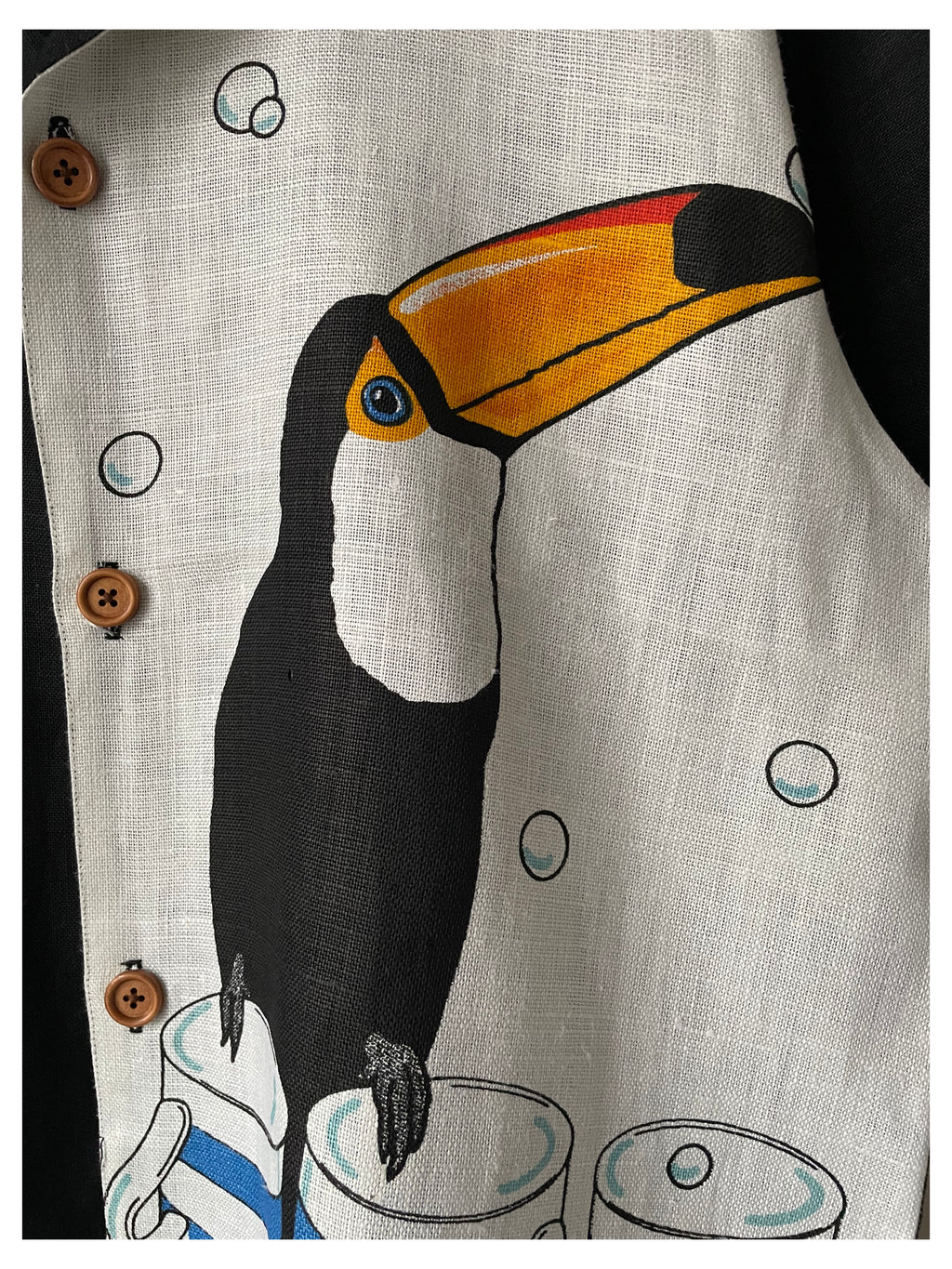 Toucan 1