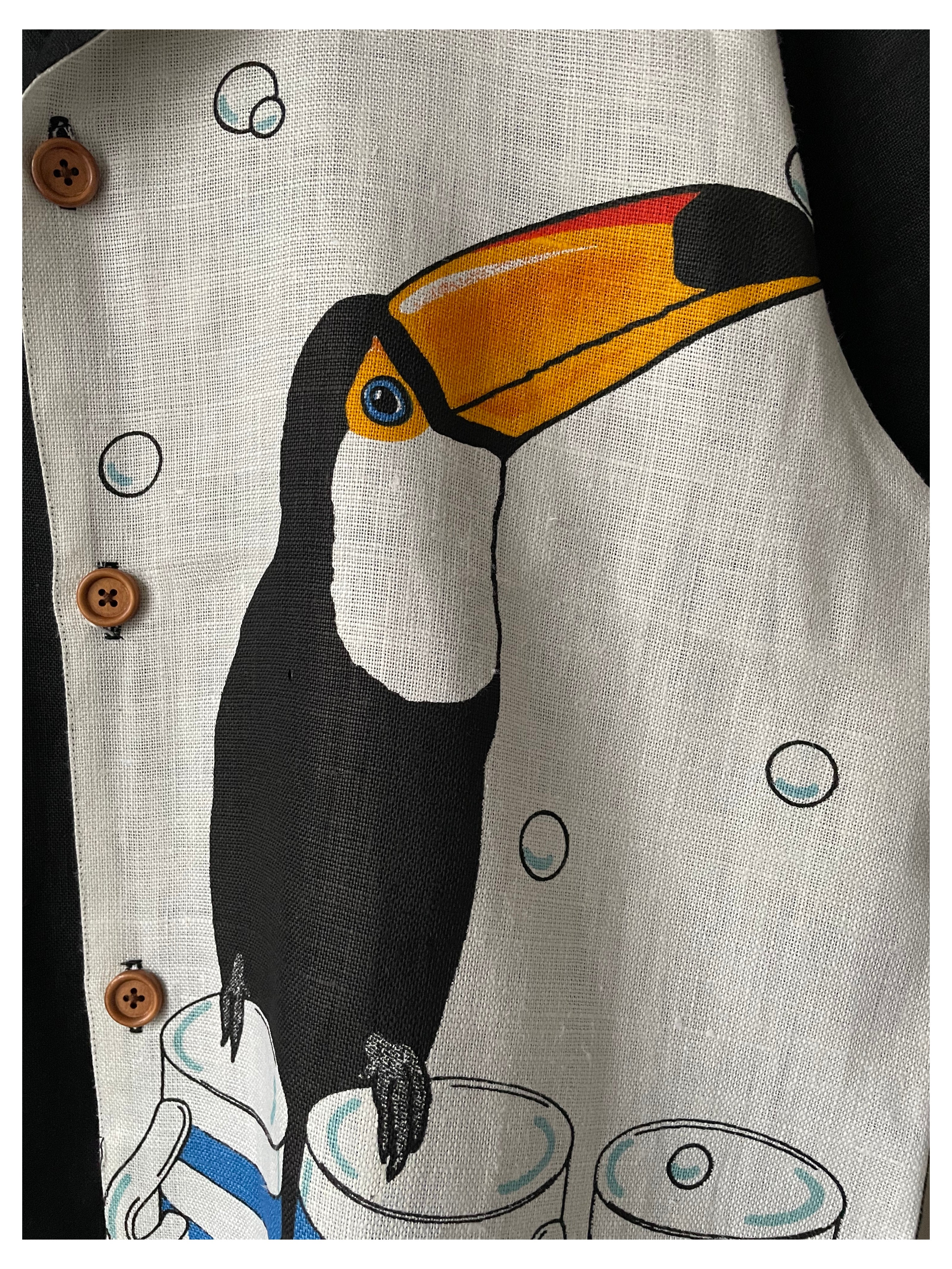 Toucan 1
