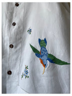 Hummingbirds