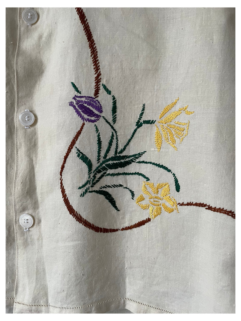 Tulips