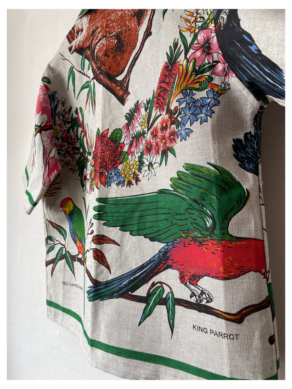 Birds of Australia