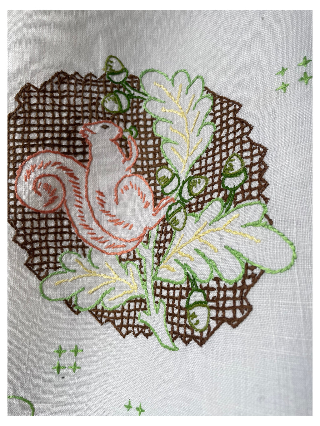 Squirrel