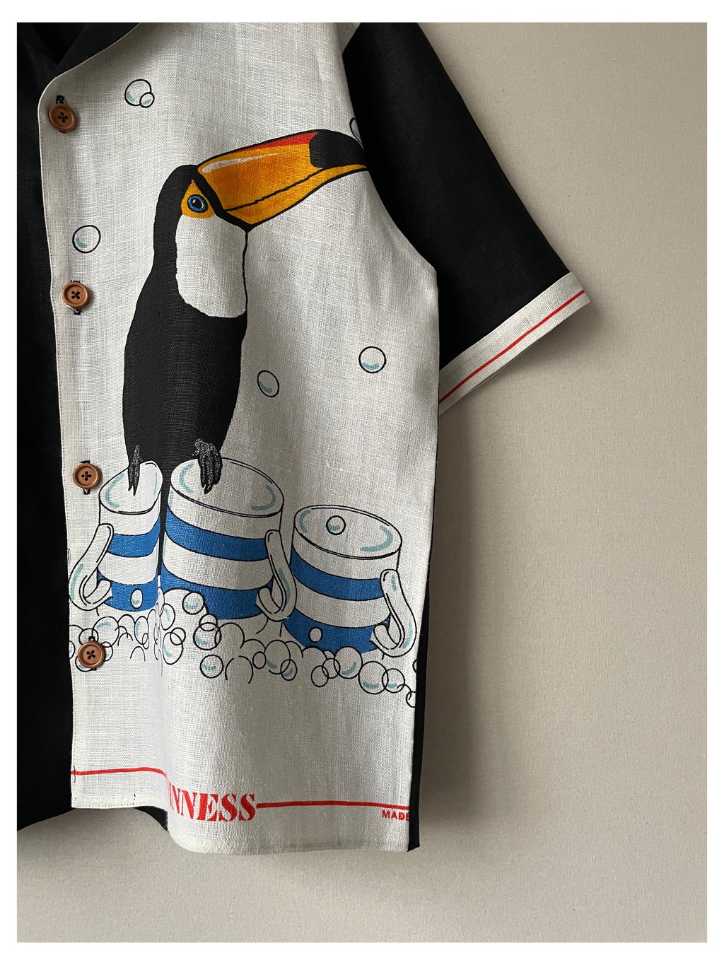 Toucan 1