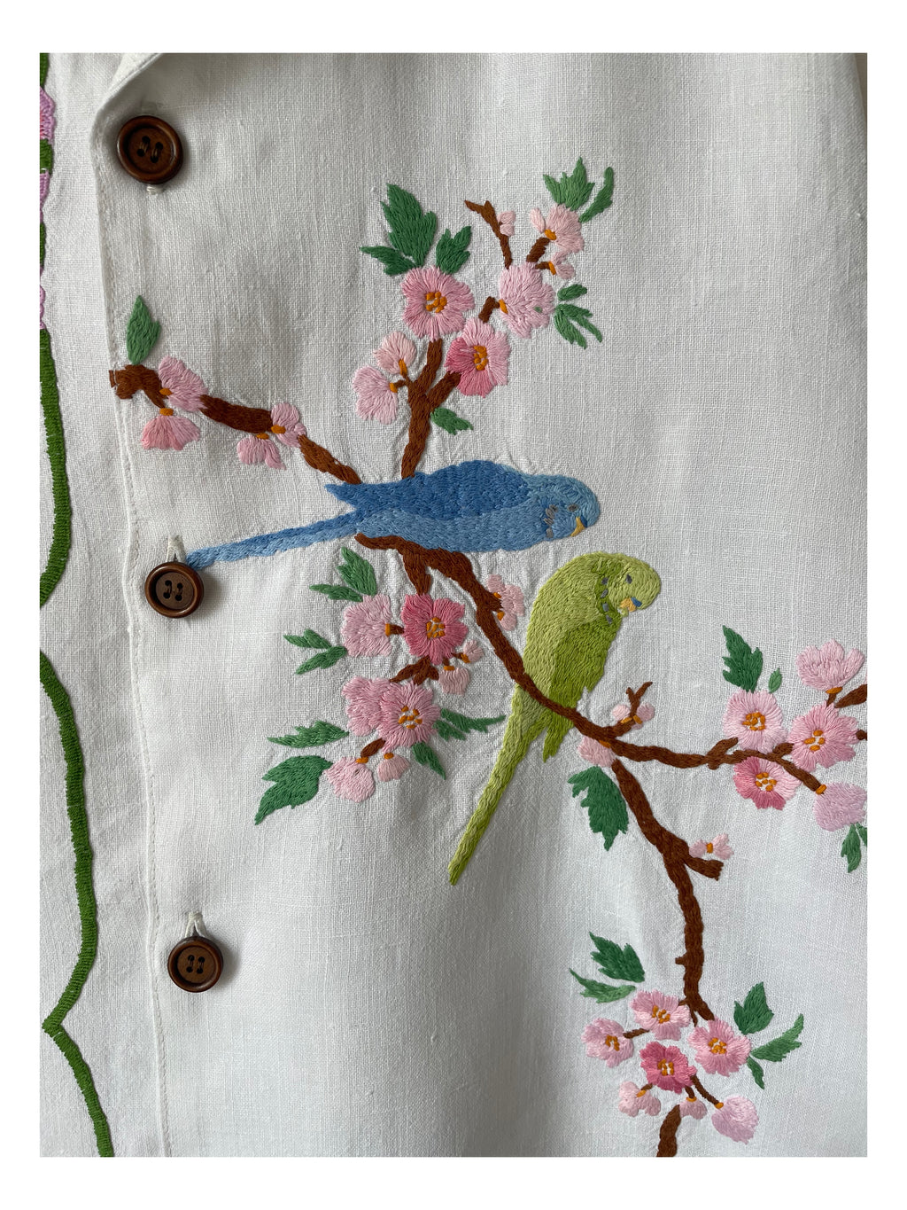 Parakeets
