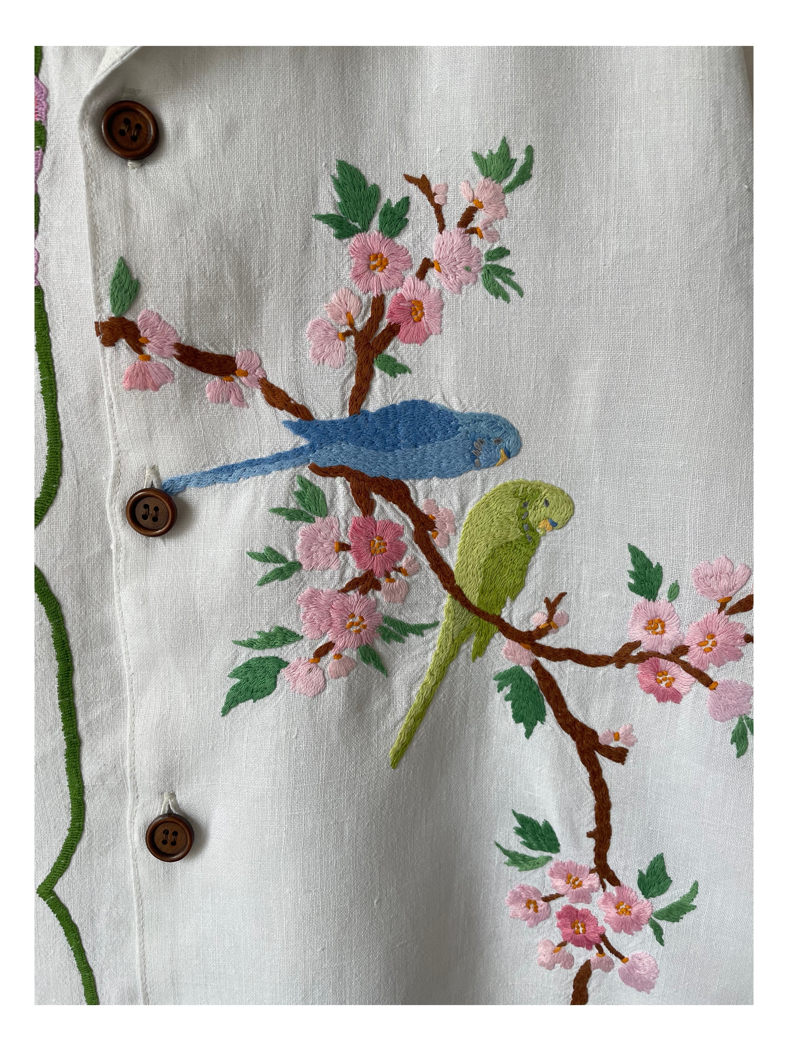 Parakeets