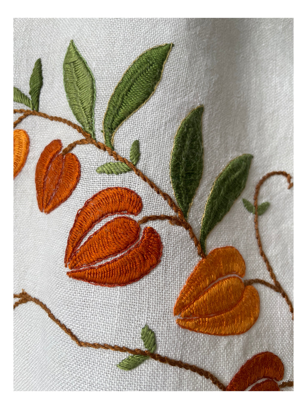 Orange Tree