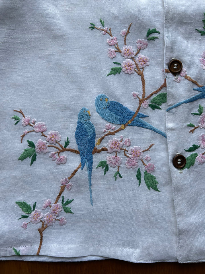 Parakeet