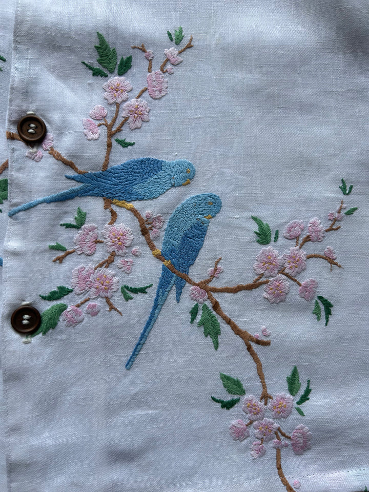 Parakeet