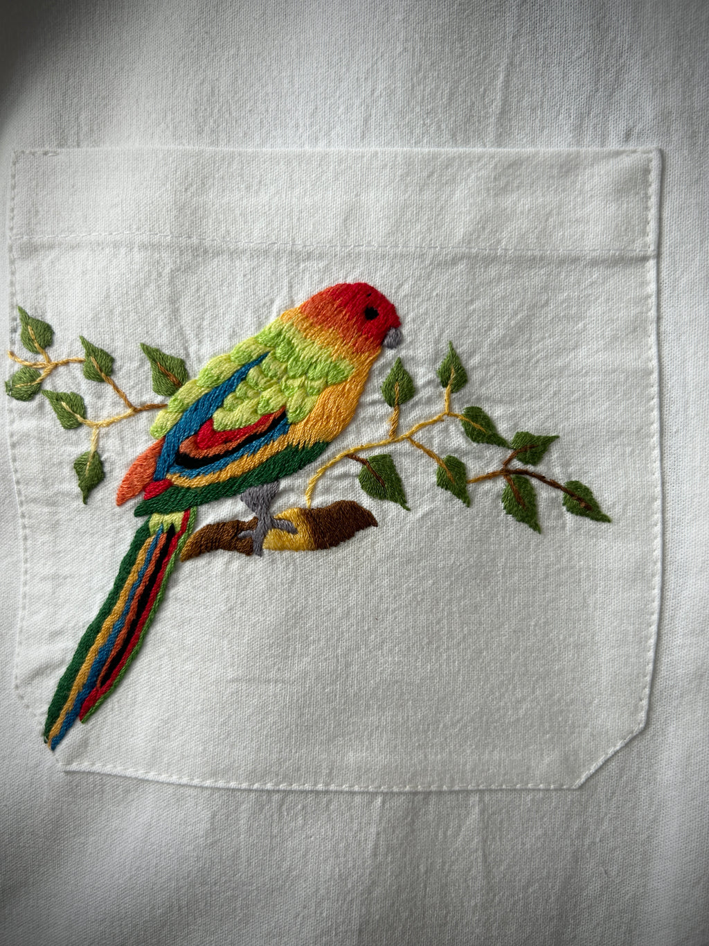 Parrot