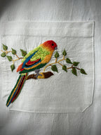 Parrot