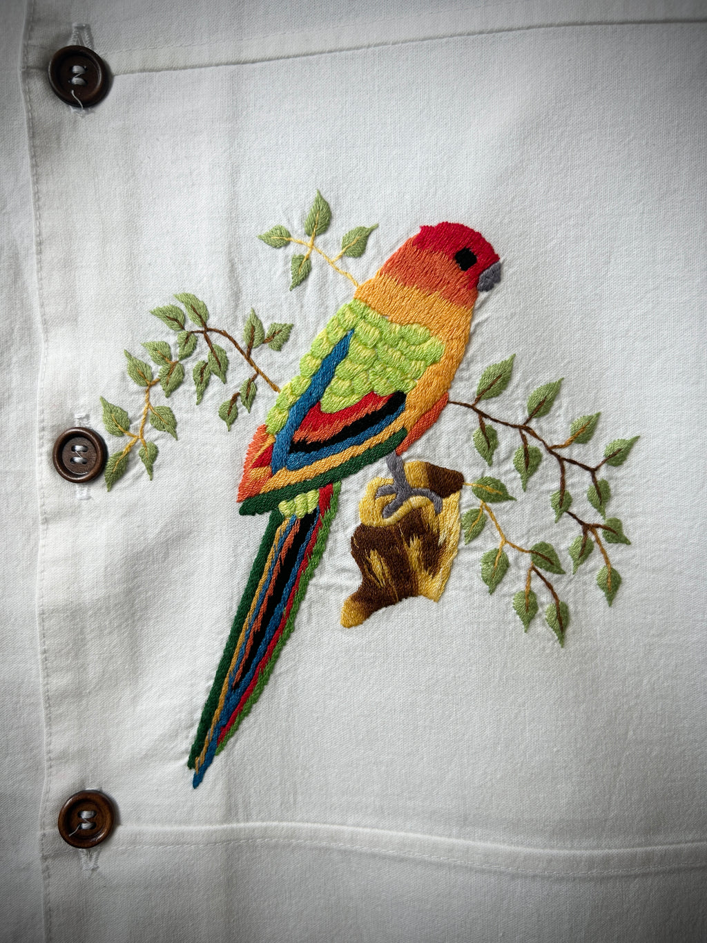 Parrot