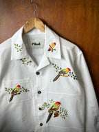 Parrot