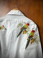 Parrot
