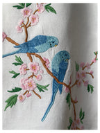 Parakeet