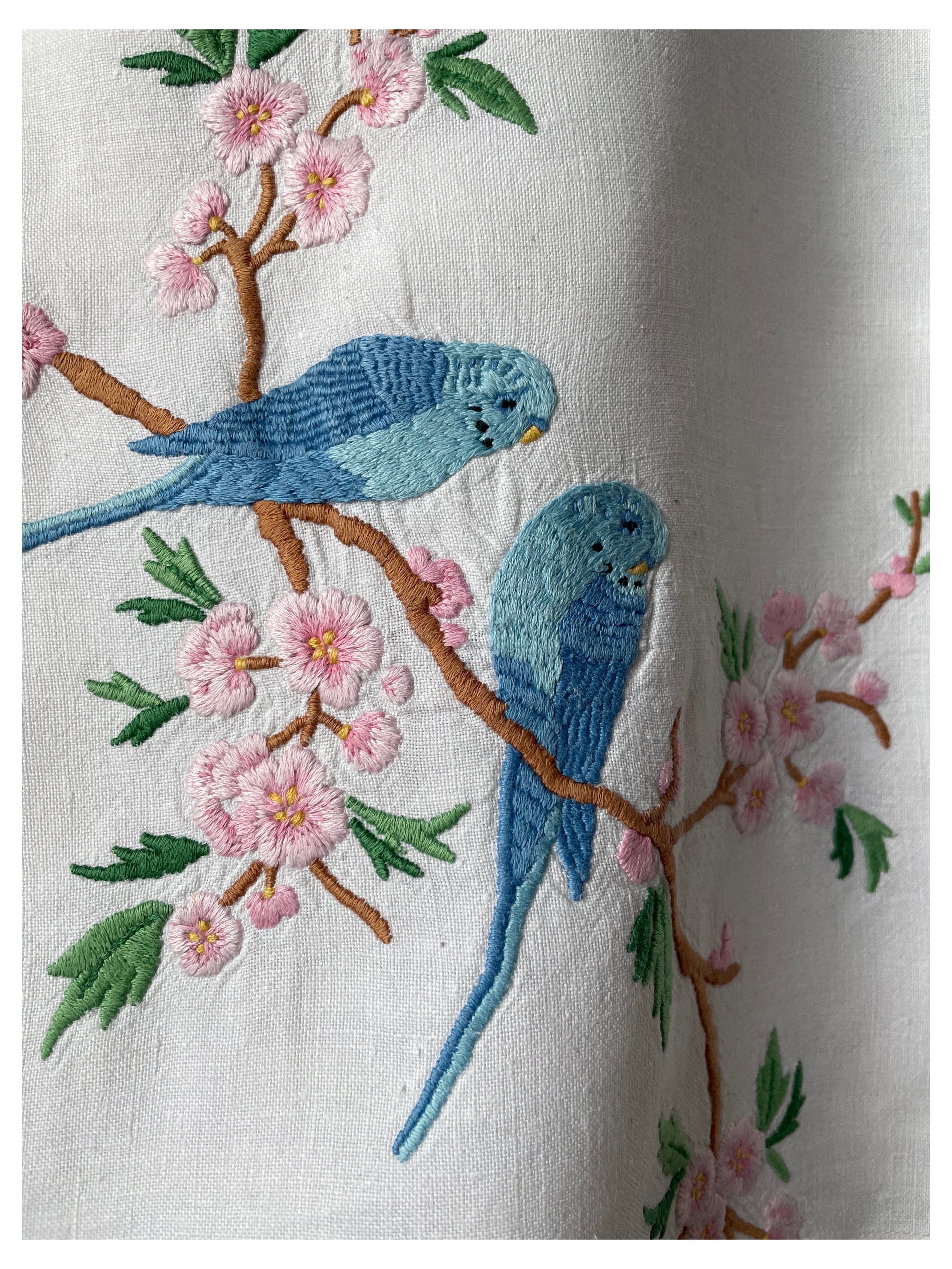 Parakeet