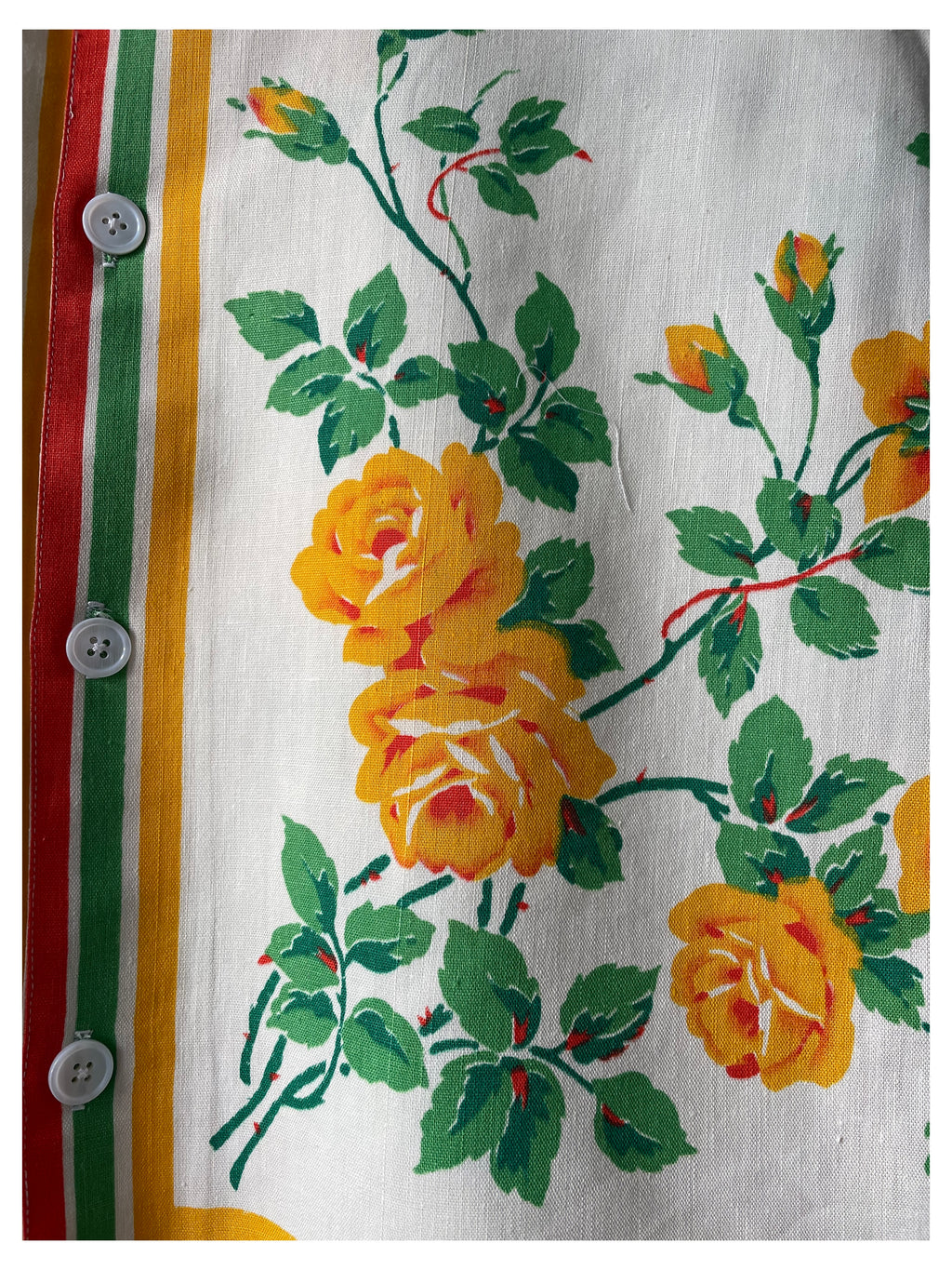 Tri-colour Rose