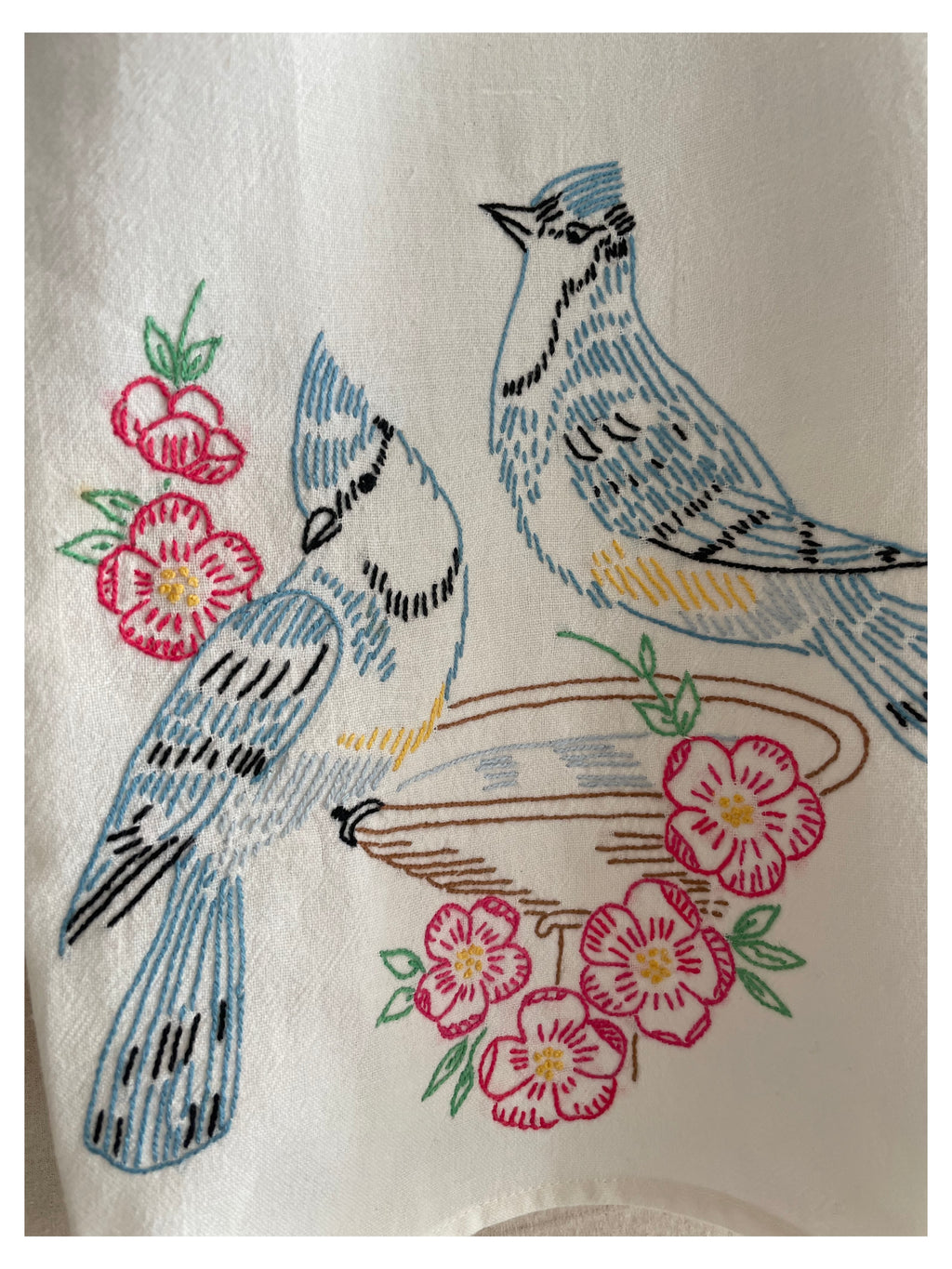 Blue Jay