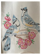 Blue Jay