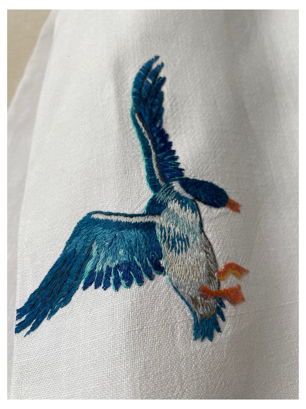 Blue Mallard