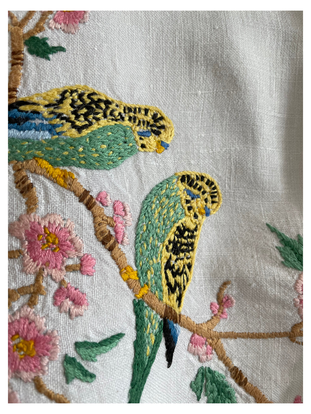 Parakeet longsleeve