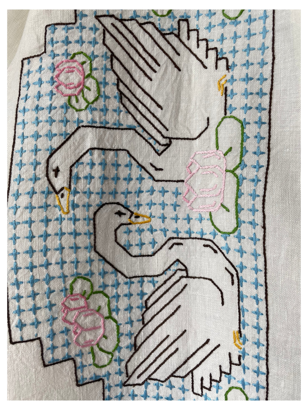 Swan