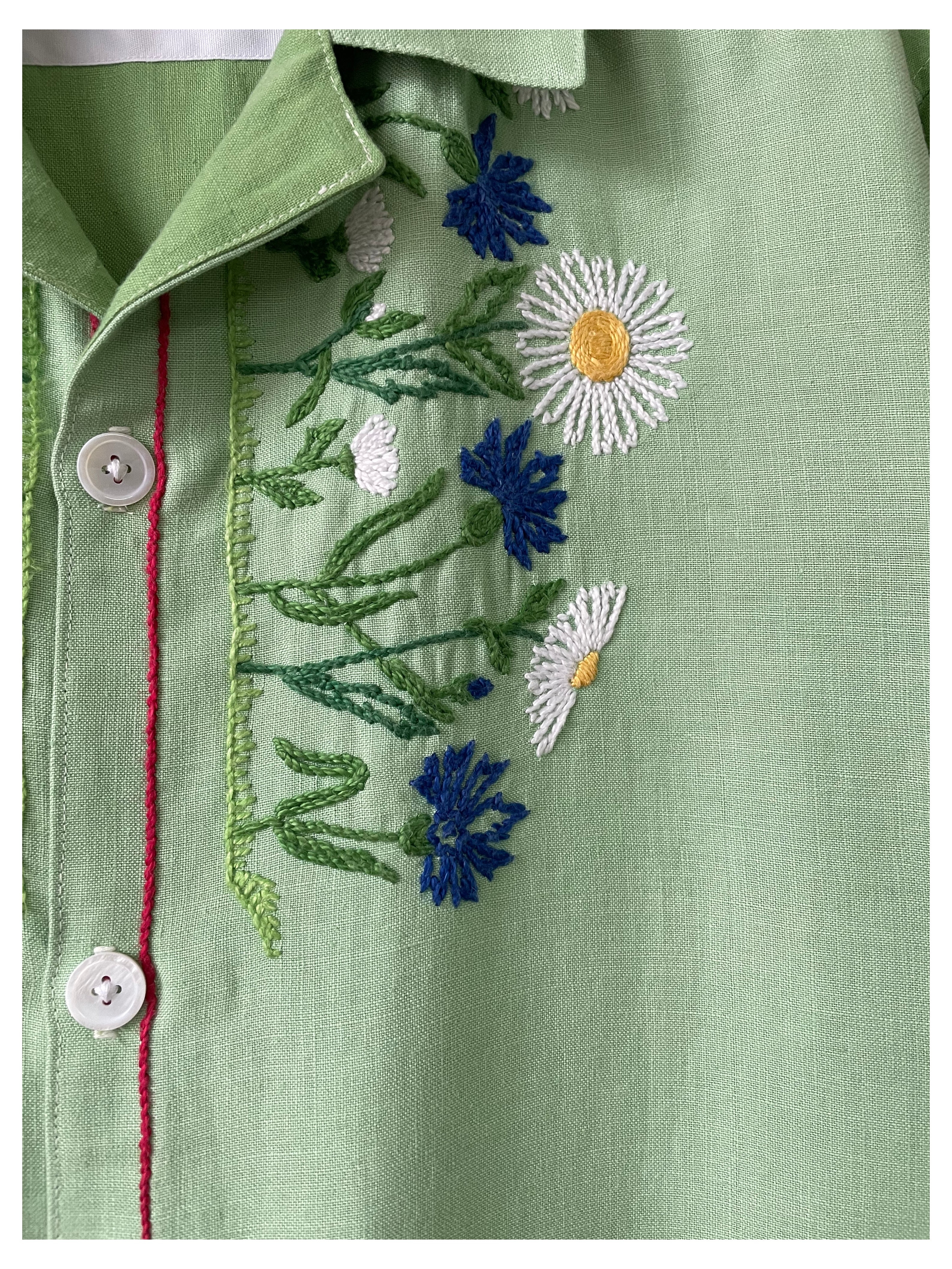 Poppies and Daisies