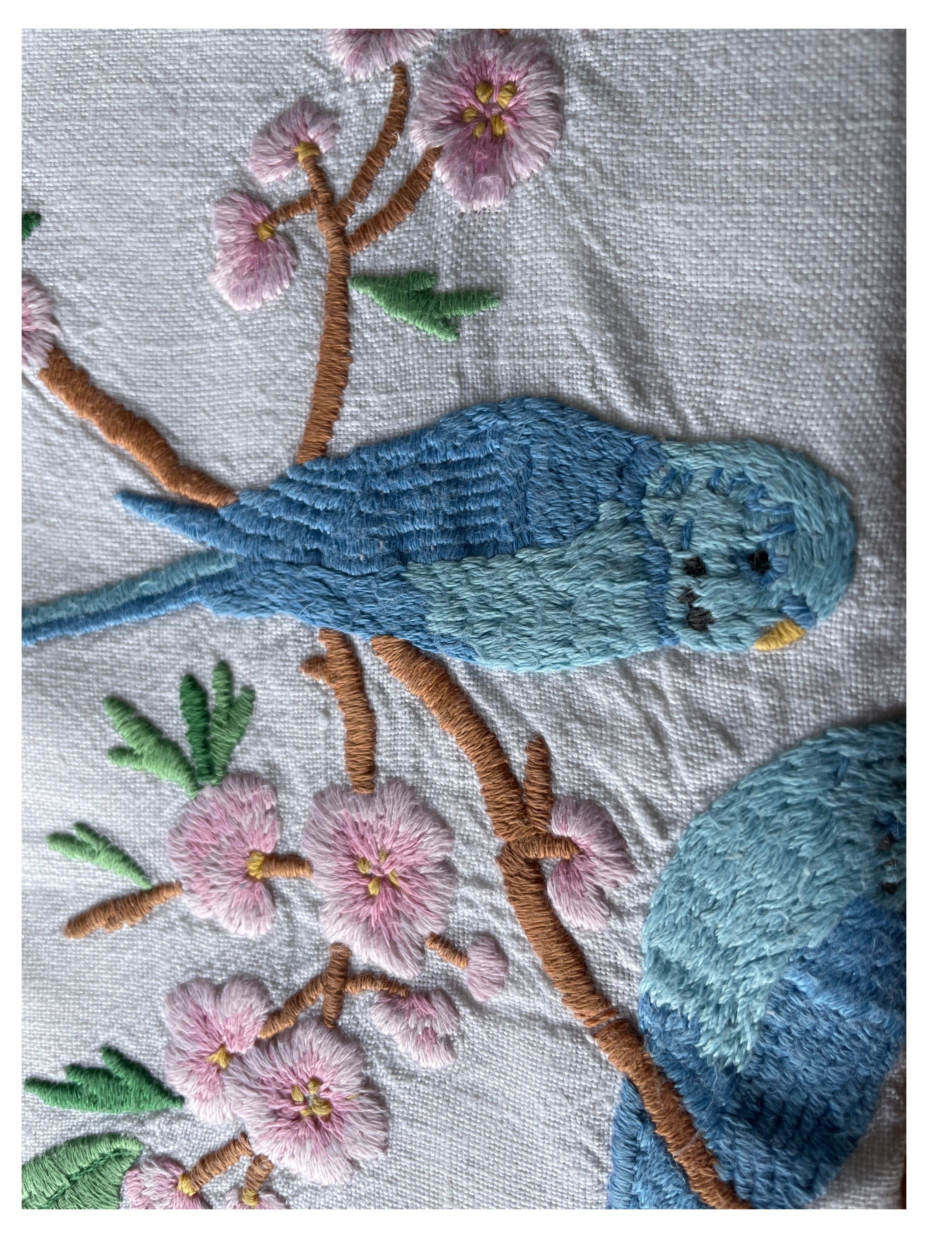 Parakeet